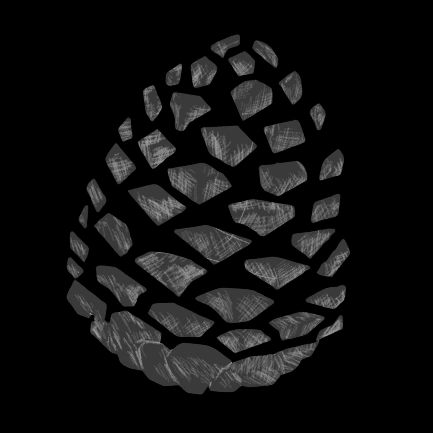 Men's Nature T-Shirt Pinecone Graphic Tee
