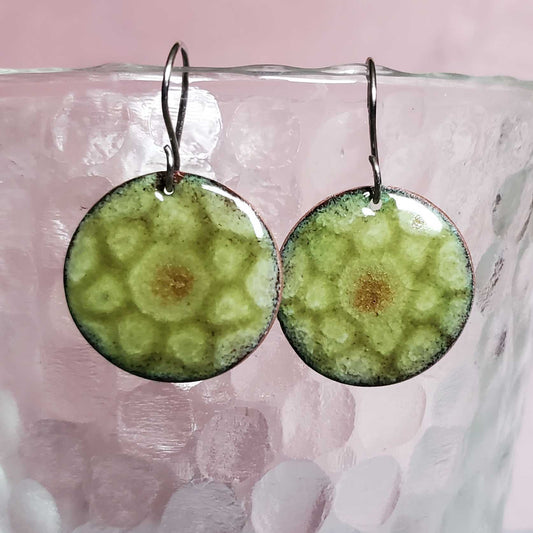 Green circular copper enamel earrings on a glass with a pink background
